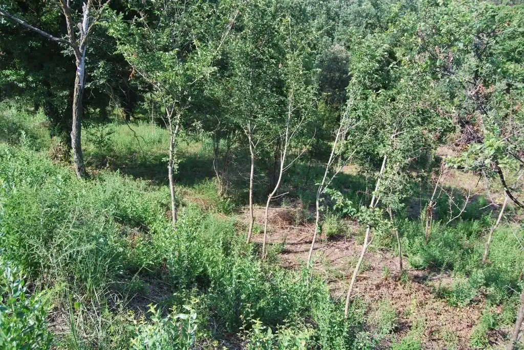 Terreny rústic en venda a Sant Celoni, imagen 28