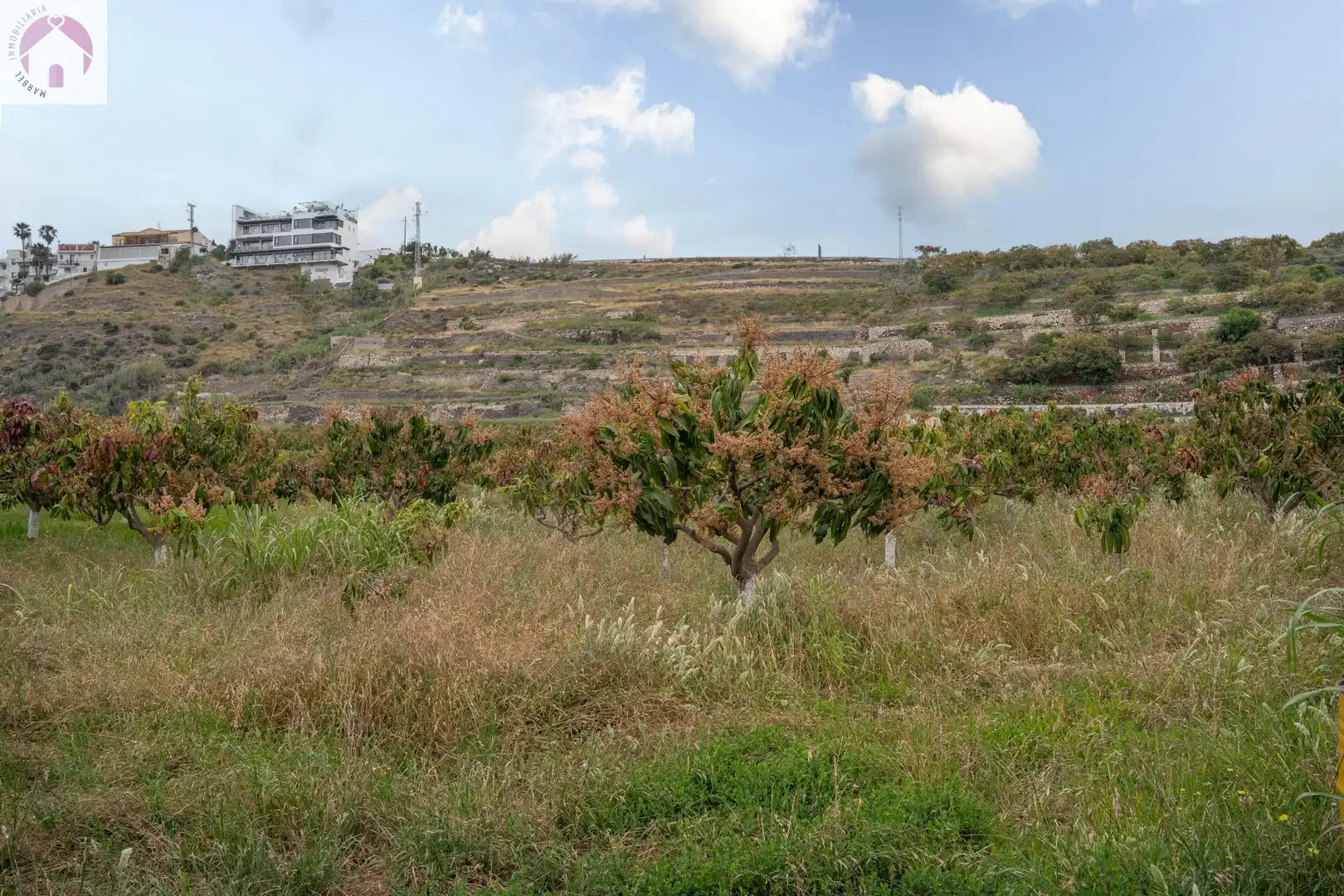 Residential for sale in CARRETERA MALAGA (CAL), 74, La Caleta - La Guardia