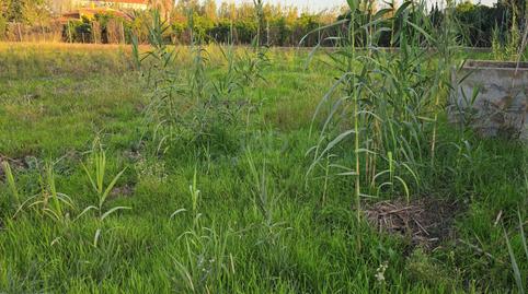Photo 5 of Land for sale in Oliva Nova, Valencia