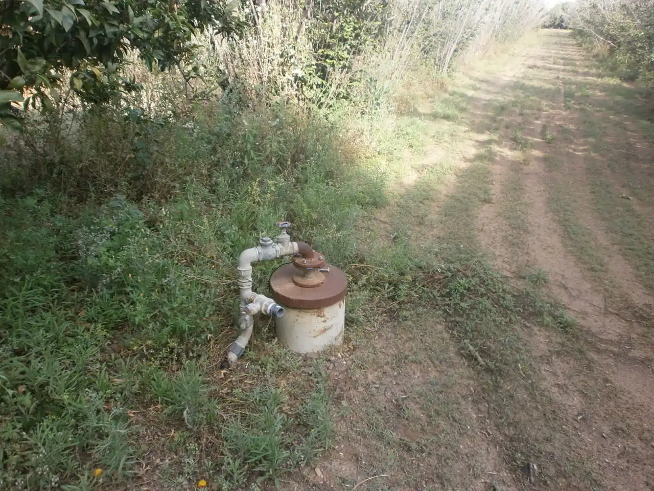Rural land for sale in Camí del Recreo 25, imagen 19