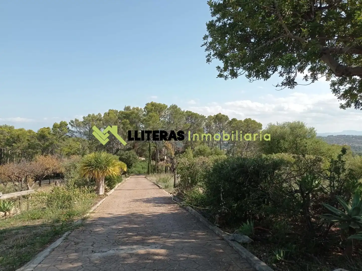 Country homes for sale in Selva