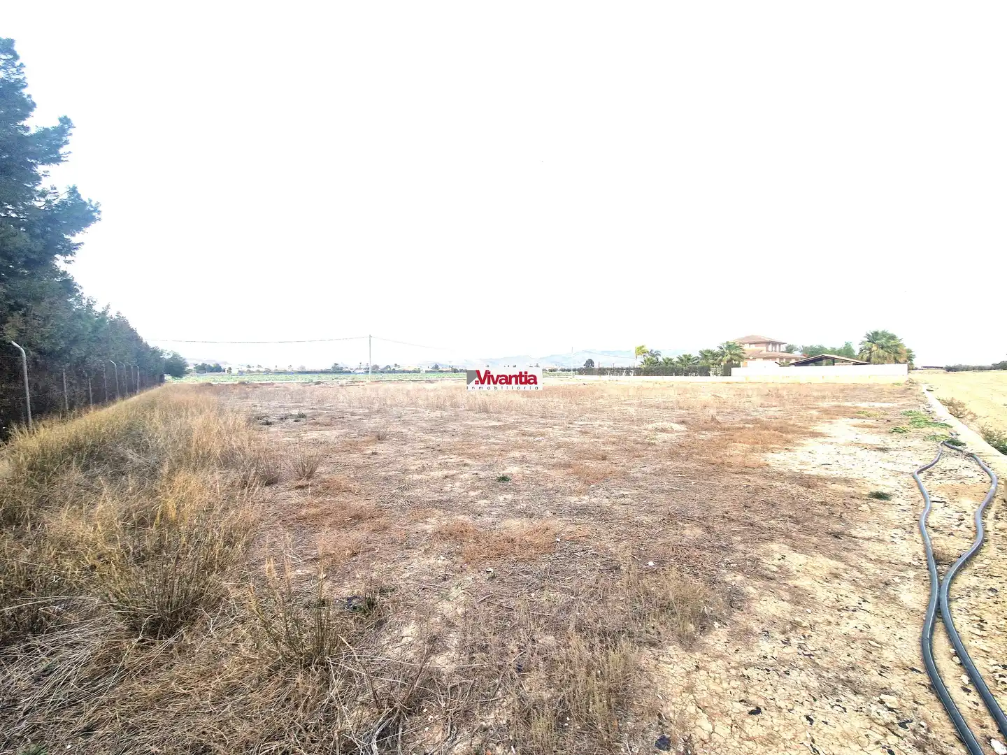 Residential land for sale in Diseminado Cazalla 572, imagen 7