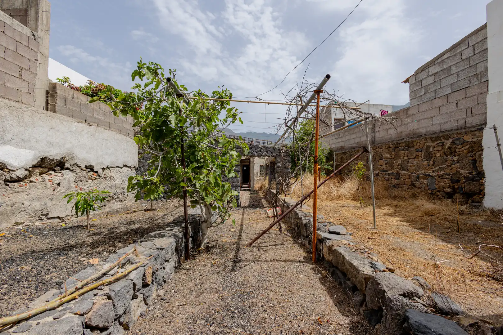 Casa o chalet en venta en Buenavista del Norte