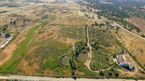 Foto 4 de Finca rústica en venda a De Cartaya Lepe, San Silvestre de Guzmán, Huelva