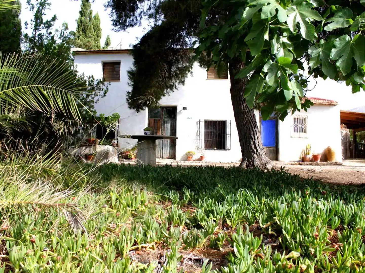 Jardí de Finca rústica en venda en Monforte del Cid amb Piscina