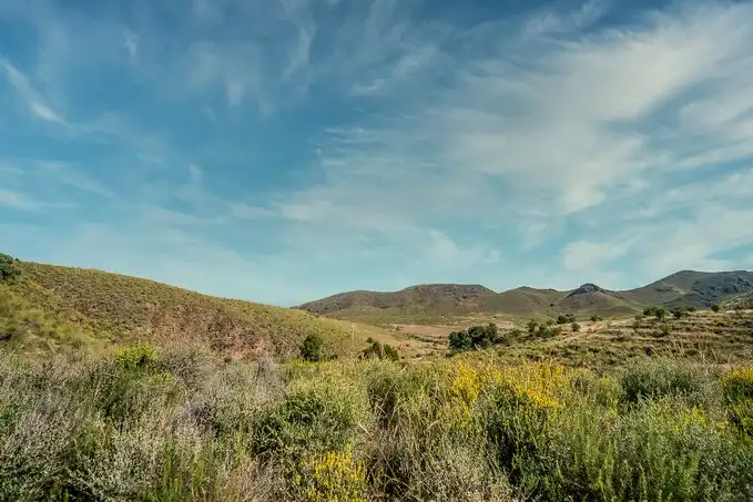 Terreno en venta en Lorca