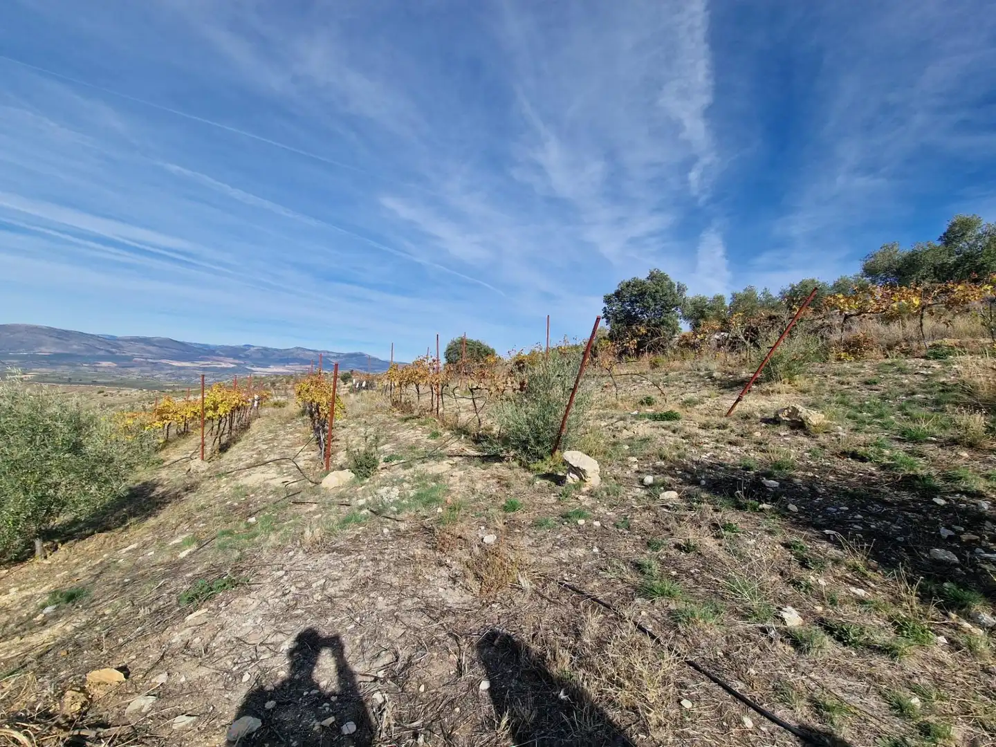 Maison rustique avec jardin à vendre à Cogollos de la Vega, imagen 64