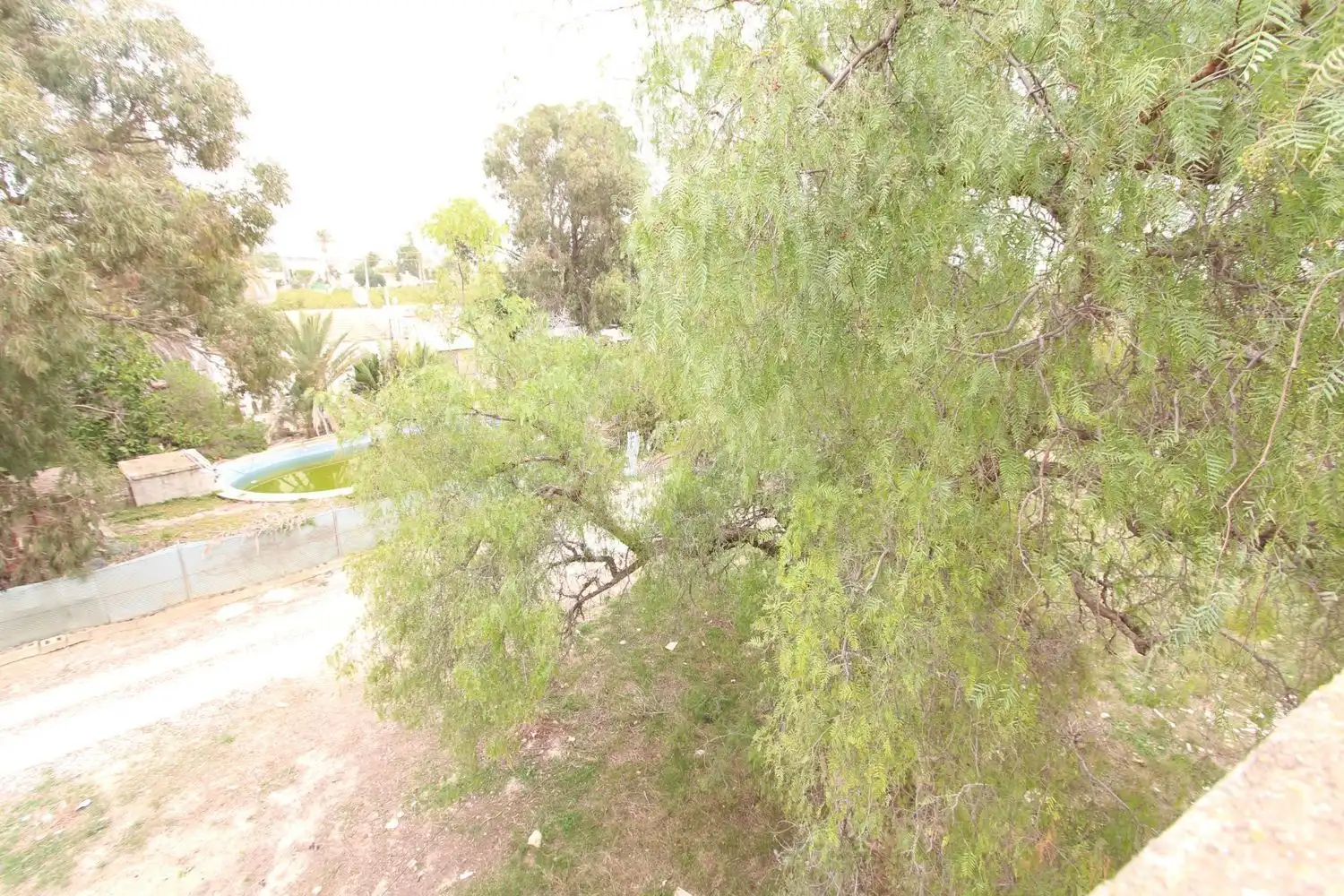 Casa amb terrassa en venda a Calle Naranjo, imagen 22