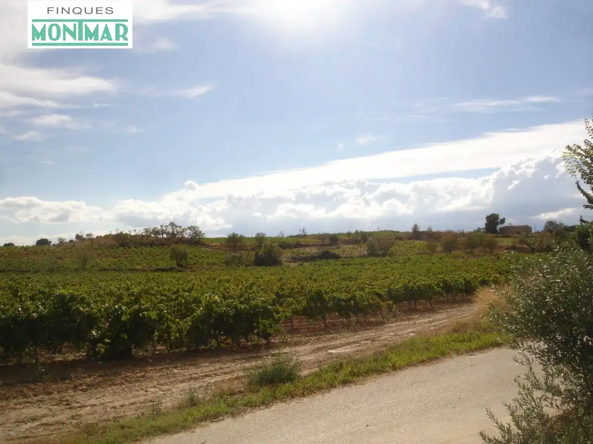 Finca rústica en venta en Castellví de la Marca