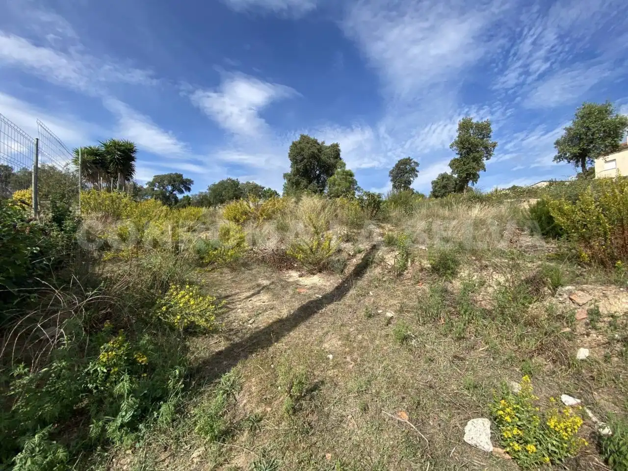 Rural land for sale in Riudarenes, imagen 3