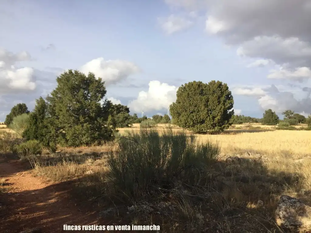 Terreni e lotti in vendita a Munera, imagen 14