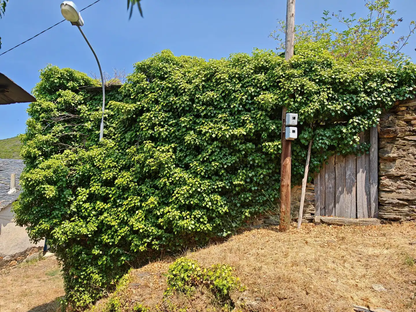 Garden of Country homes for sale in Borrenes