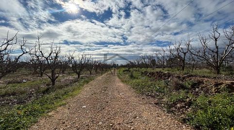 Foto 2 de Residencial en venda a Alberic, Valencia