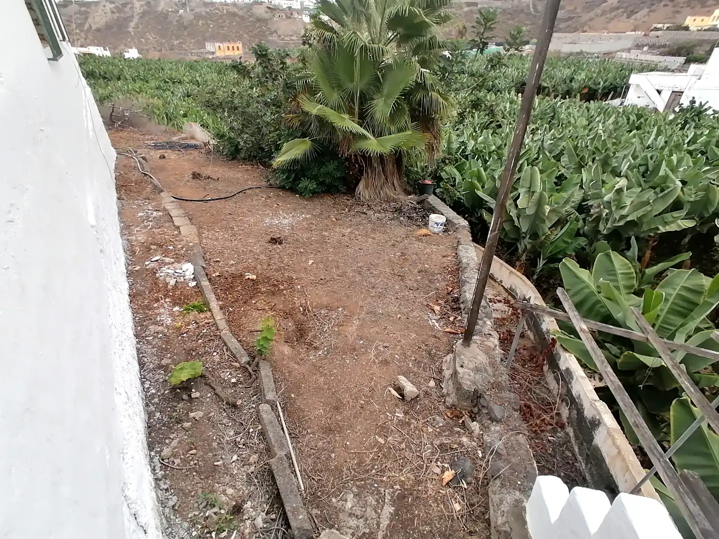 Casa o xalet de lloguer en Arucas amb Jardí privat, Terrassa i Traster