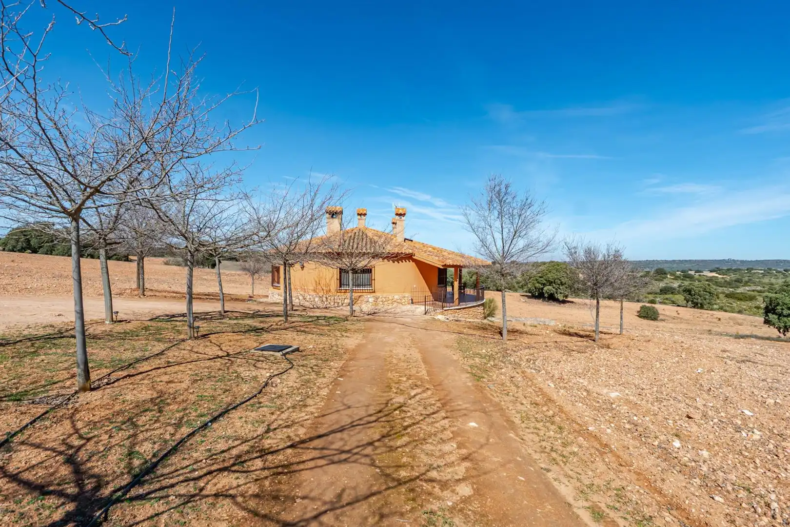 Finca rústica en venta en Polígono Polígono 123 Paraje 187 TERCERO, 18, Argamasilla de Alba