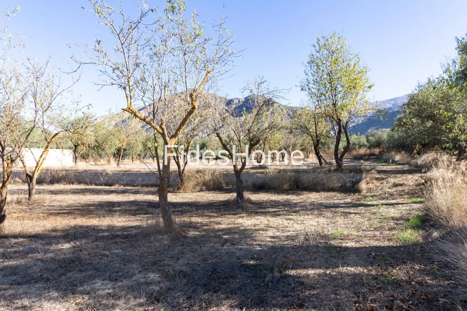 Rural land for sale in XFC2+95P Acequias 0, imagen 2