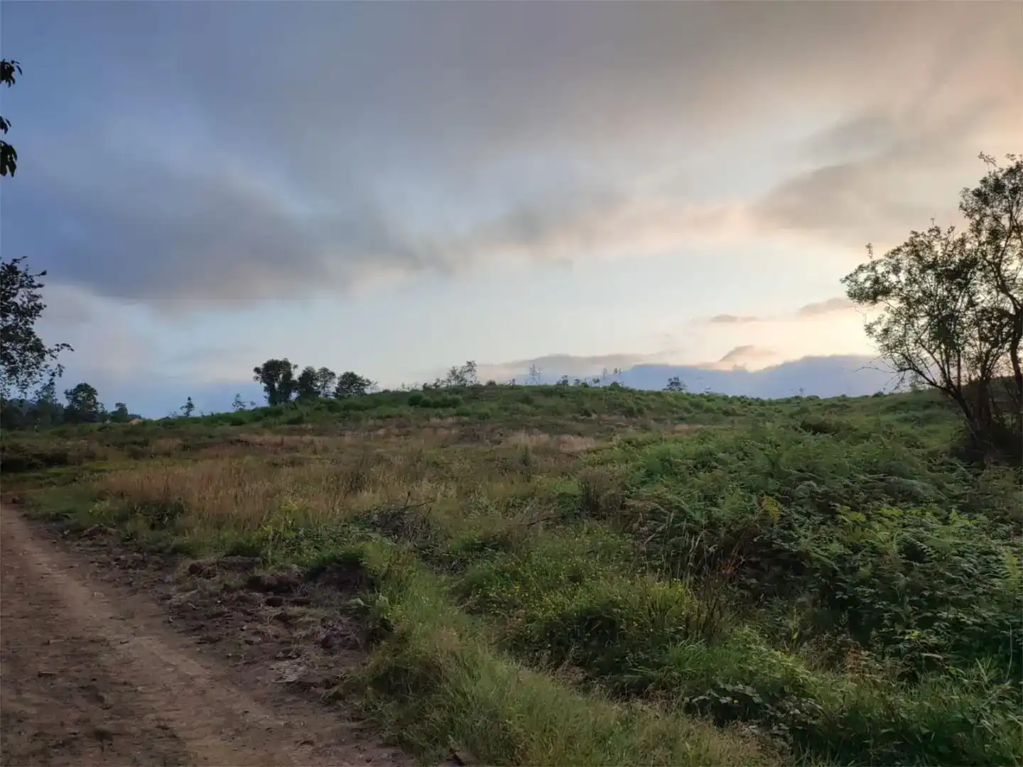 Terreno en venta en Grandas de Salime