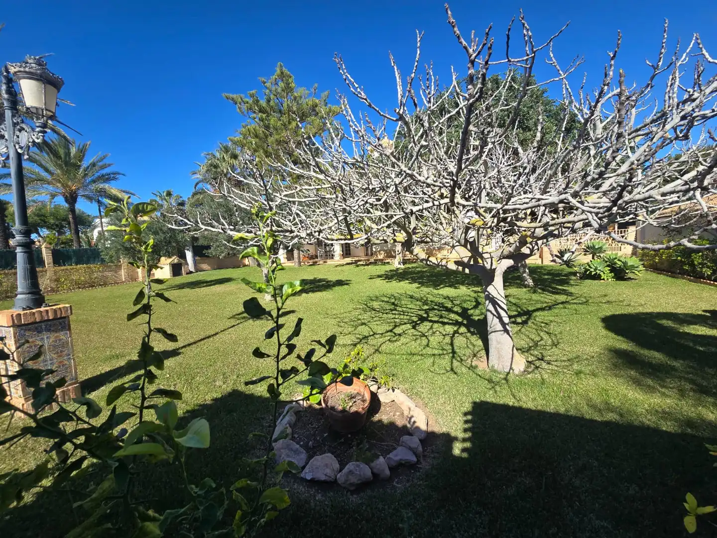 Jardí de Casa o xalet en venda en Orihuela amb Aire condicionat, Calefacció i Jardí privat