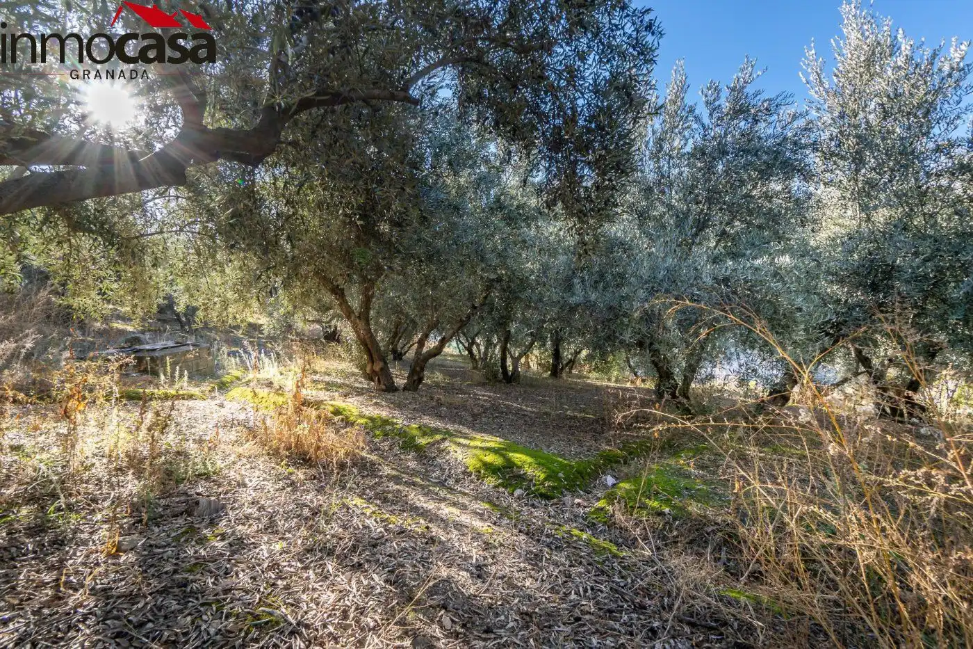 Finca rústica en venda a Polígono PARAJE DE LA HOYA, Güéjar Sierra