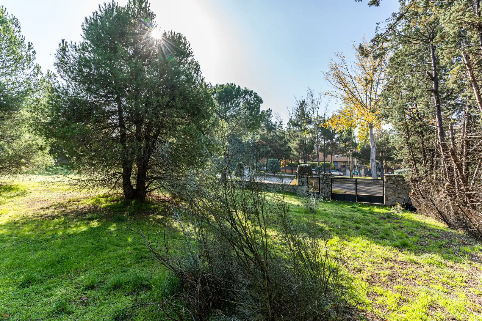 Jardí de Residencial en venda en Las Rozas de Madrid