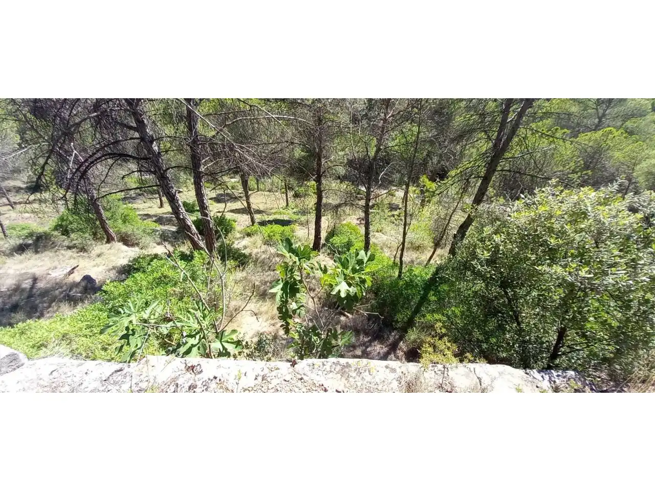 Residencial en venda en Castellnou de Bages