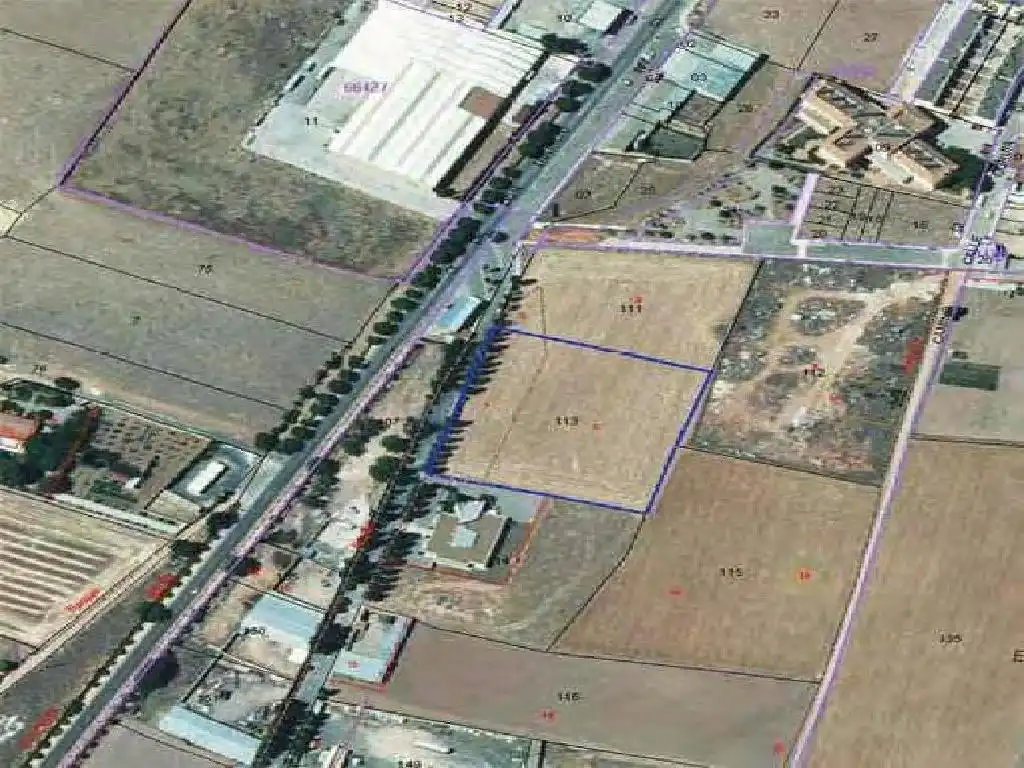 Terreno rústico en venta en Daimiel, imagen 3