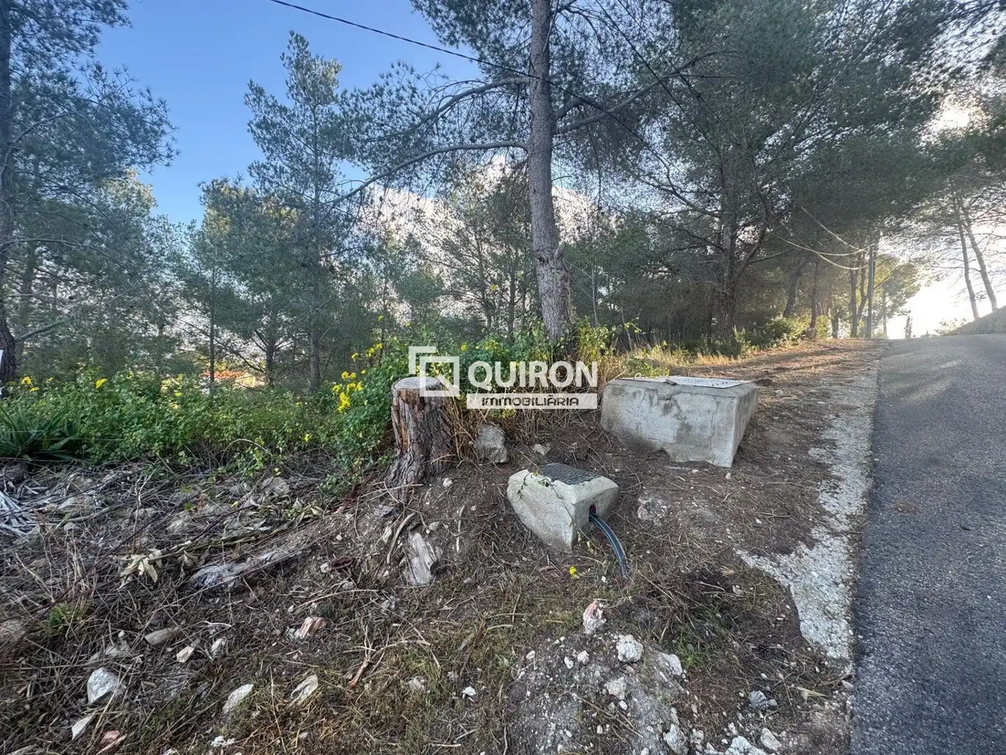 Terreno rustico in vendita a La Bisbal del Penedès, imagen 5