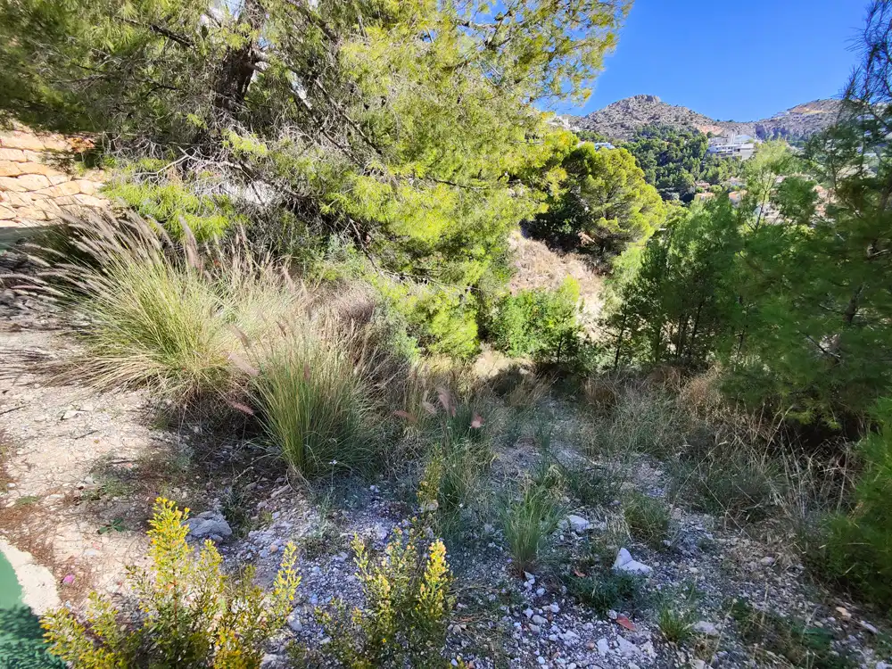Residential land for sale in Calle Suiza, imagen 17