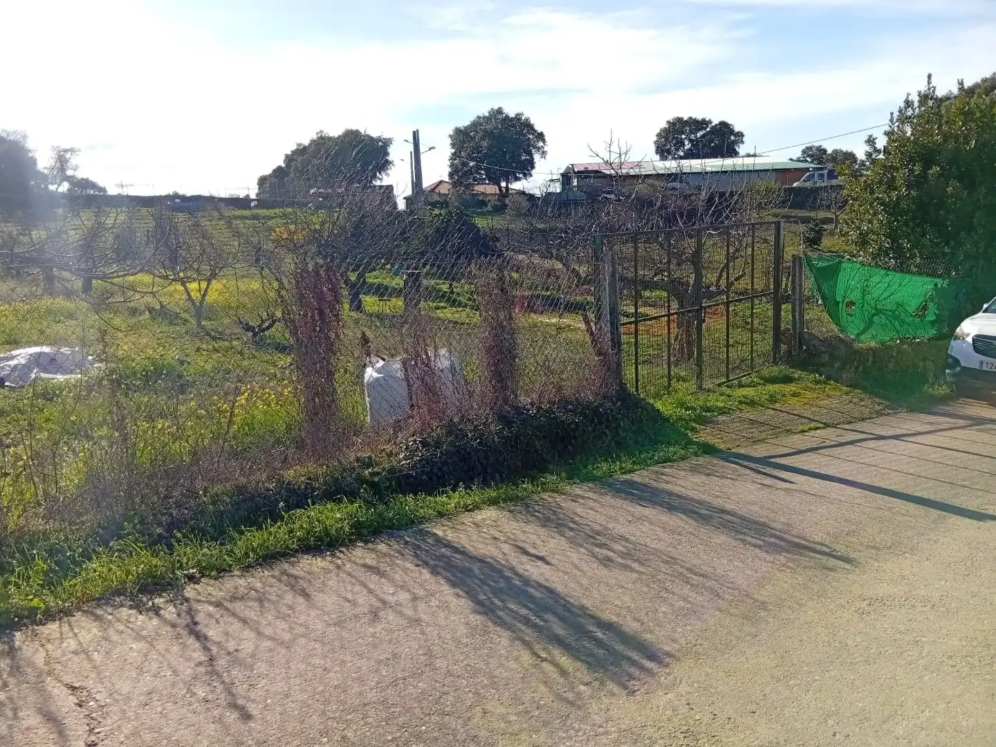 Land for sale in Villanueva de la Sierra