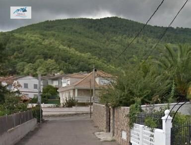 Vista exterior de Casa o xalet en venda en Piedralaves amb Jardí privat i Piscina comunitària