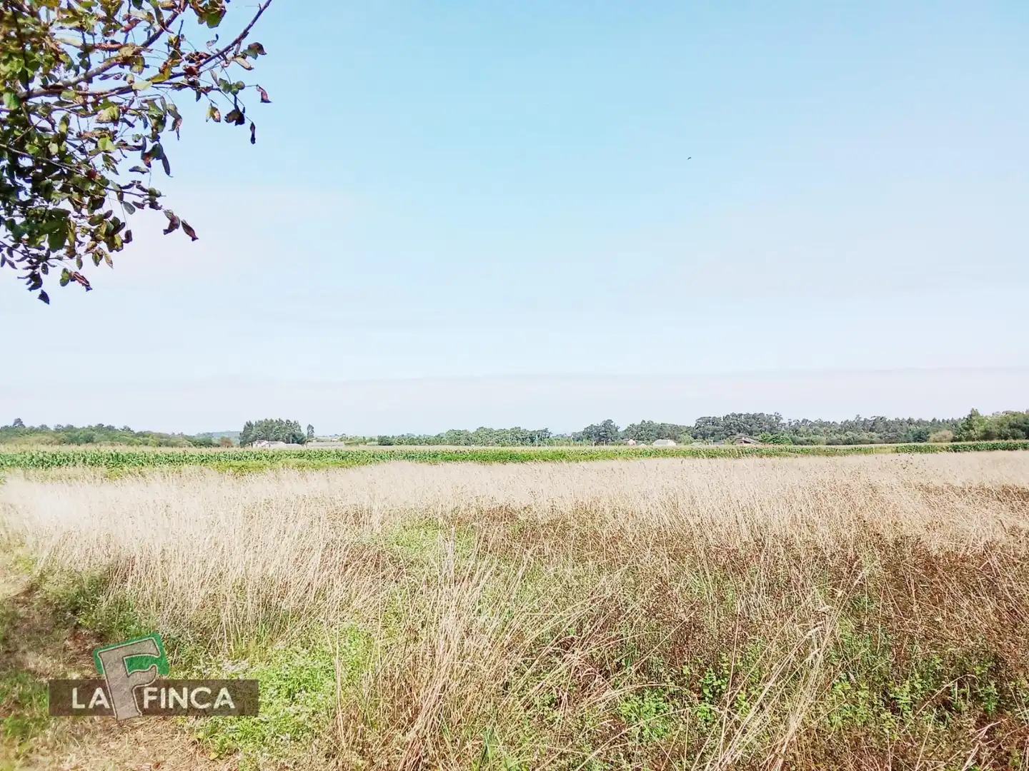 Residencial en venda en El Franco 