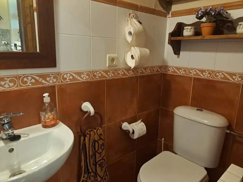 Bathroom of Detached homes for rent in Fontanals de Cerdanya  with Heating, Private garden and Parquet flooring