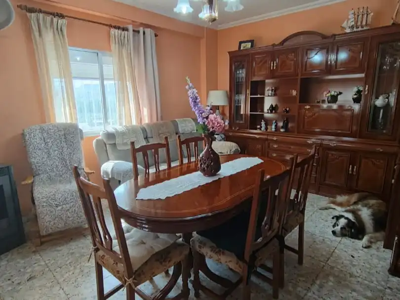 House with garden for sale in Calle Federico Garcia Lorca del Bejarin 221, imagen 24