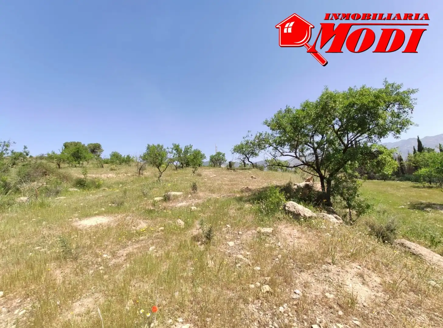 Lands and plots for sale in Villamena, imagen 5