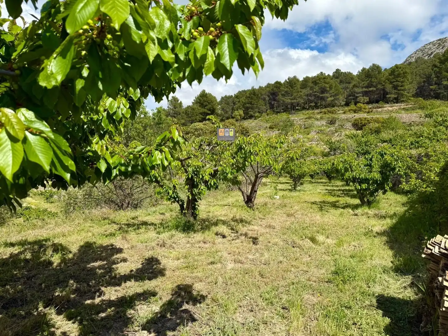 Finca rústica en venta en Sella