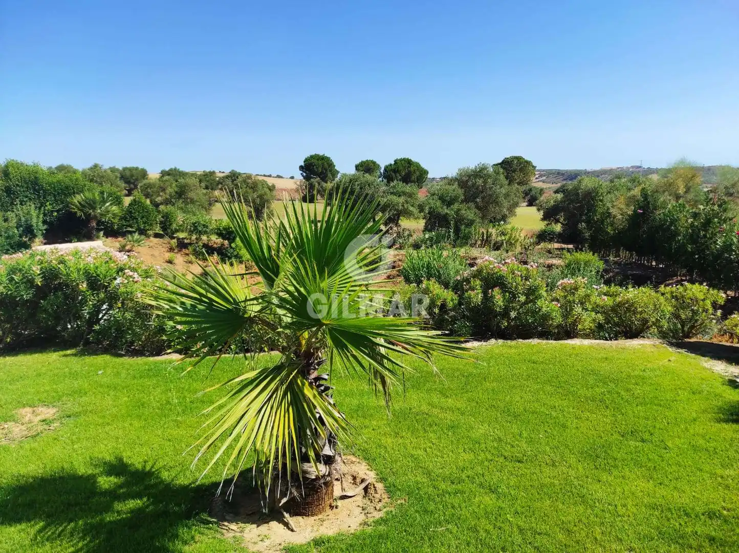 Jardín de Casa o chalet en venta en Arcos de la Frontera con Calefacción, Jardín privado y Piscina