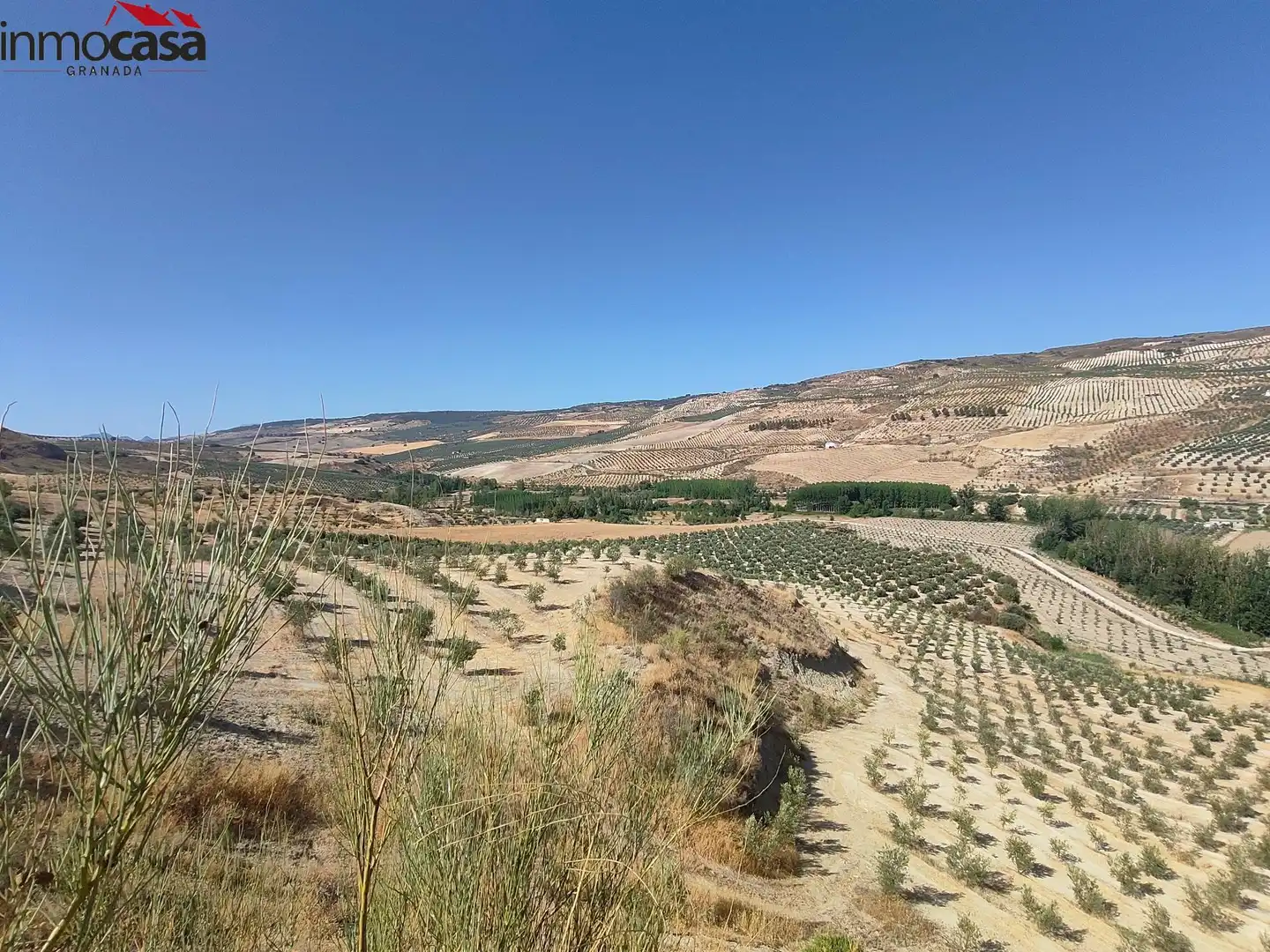 Rural land for sale in Santa Cruz del Comercio, imagen 13