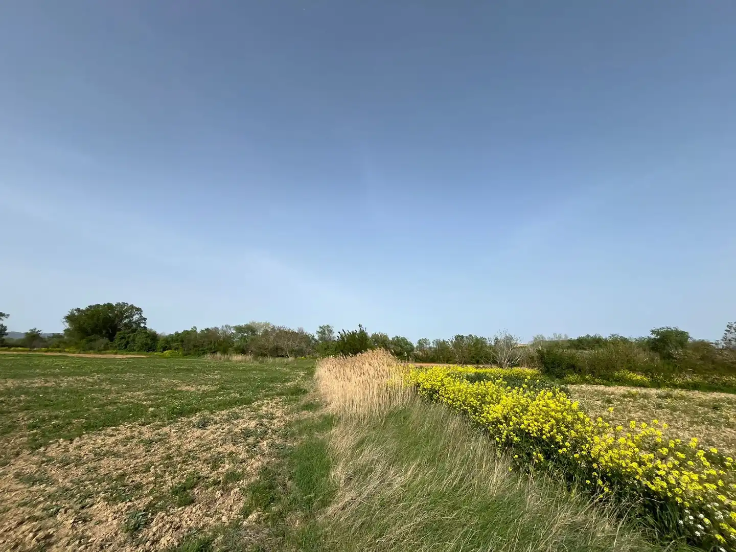 Residential for sale in Beire