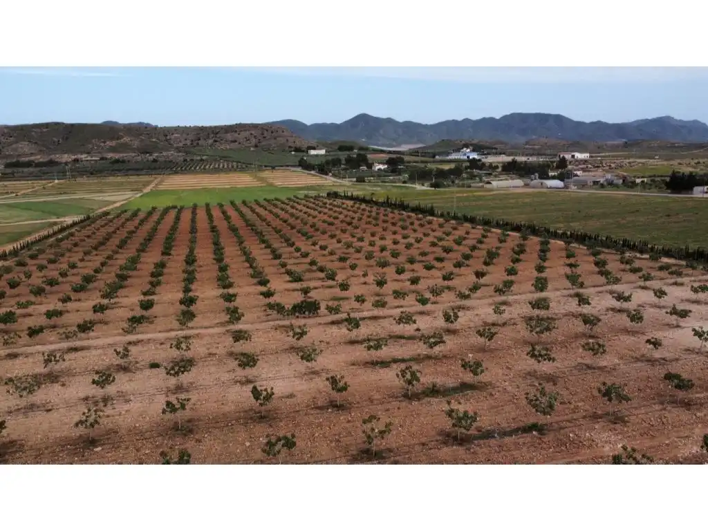Finca rústica en venda a Escucha