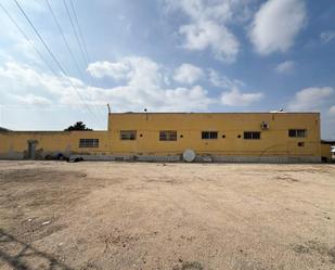 Exterior view of Industrial buildings for sale in Elche / Elx