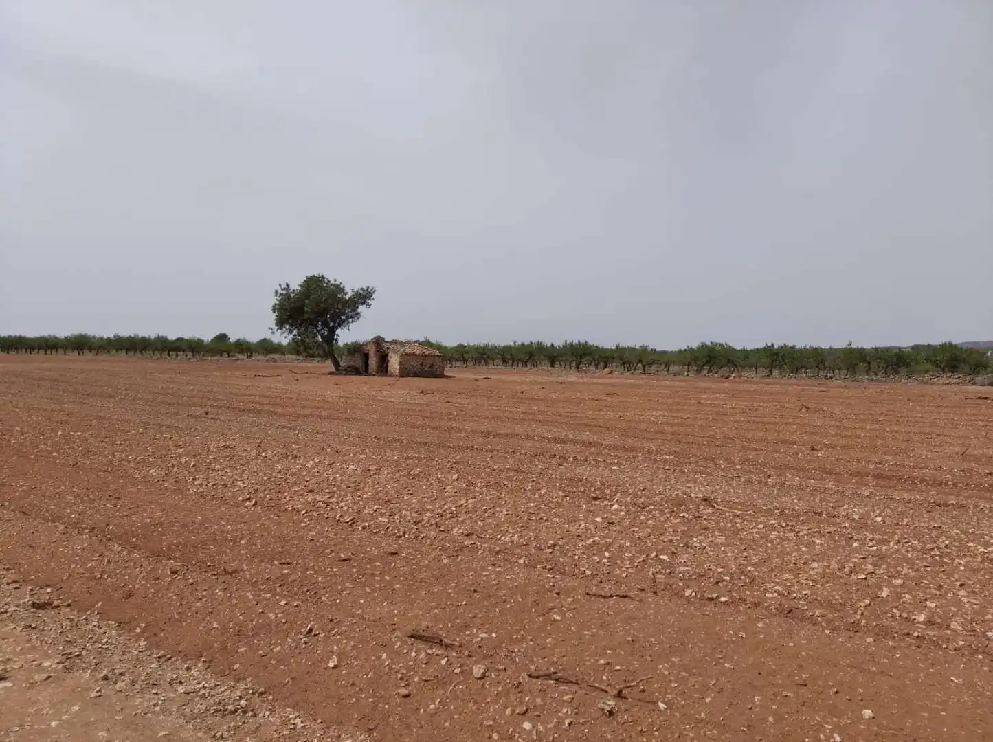 Terrenys i solars en venda a Benlloc, imagen 6