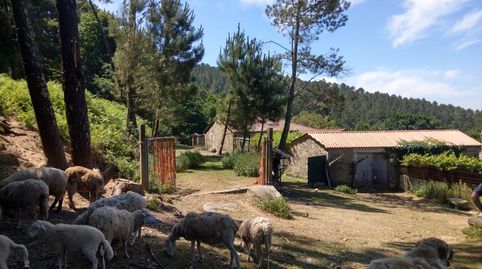 Foto 5 de Casa o chalet en venta en Noveledo, A Estrada , Pontevedra