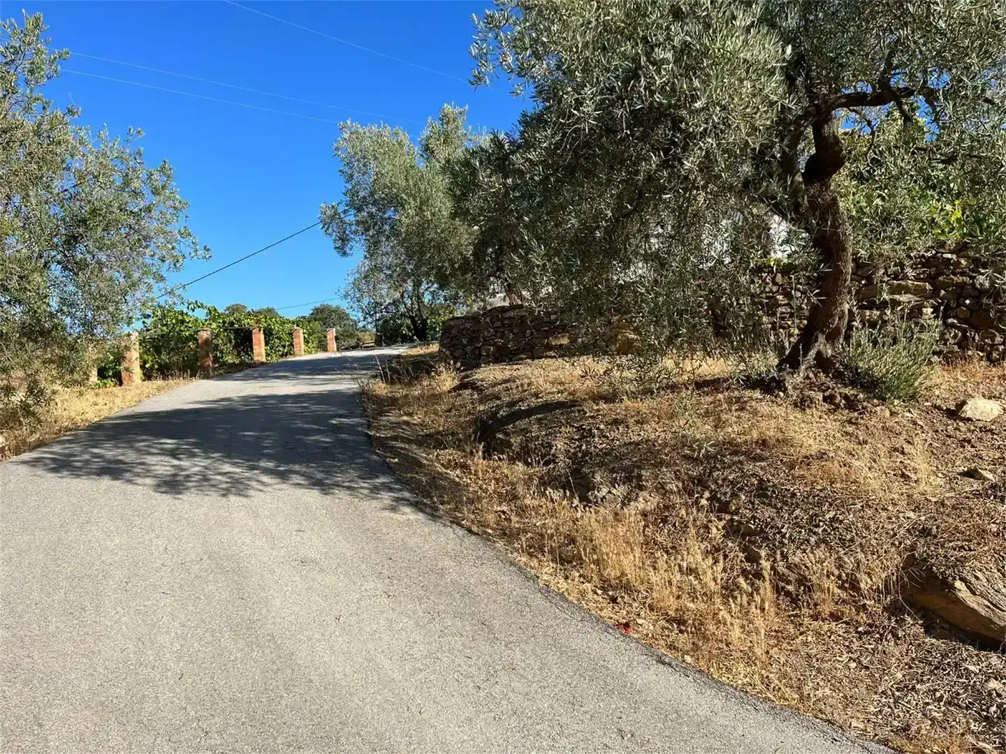 Finca rústica en venda en Málaga Capital