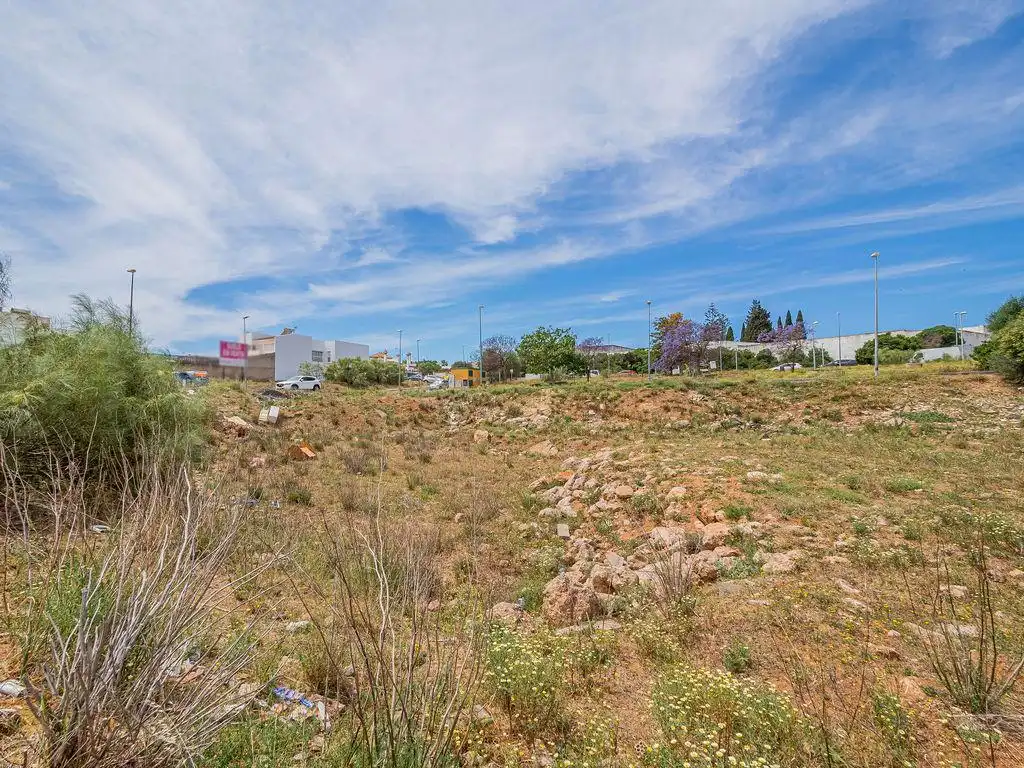 Lands and plots for sale in Sector 12 Nuevo Parque, imagen 5
