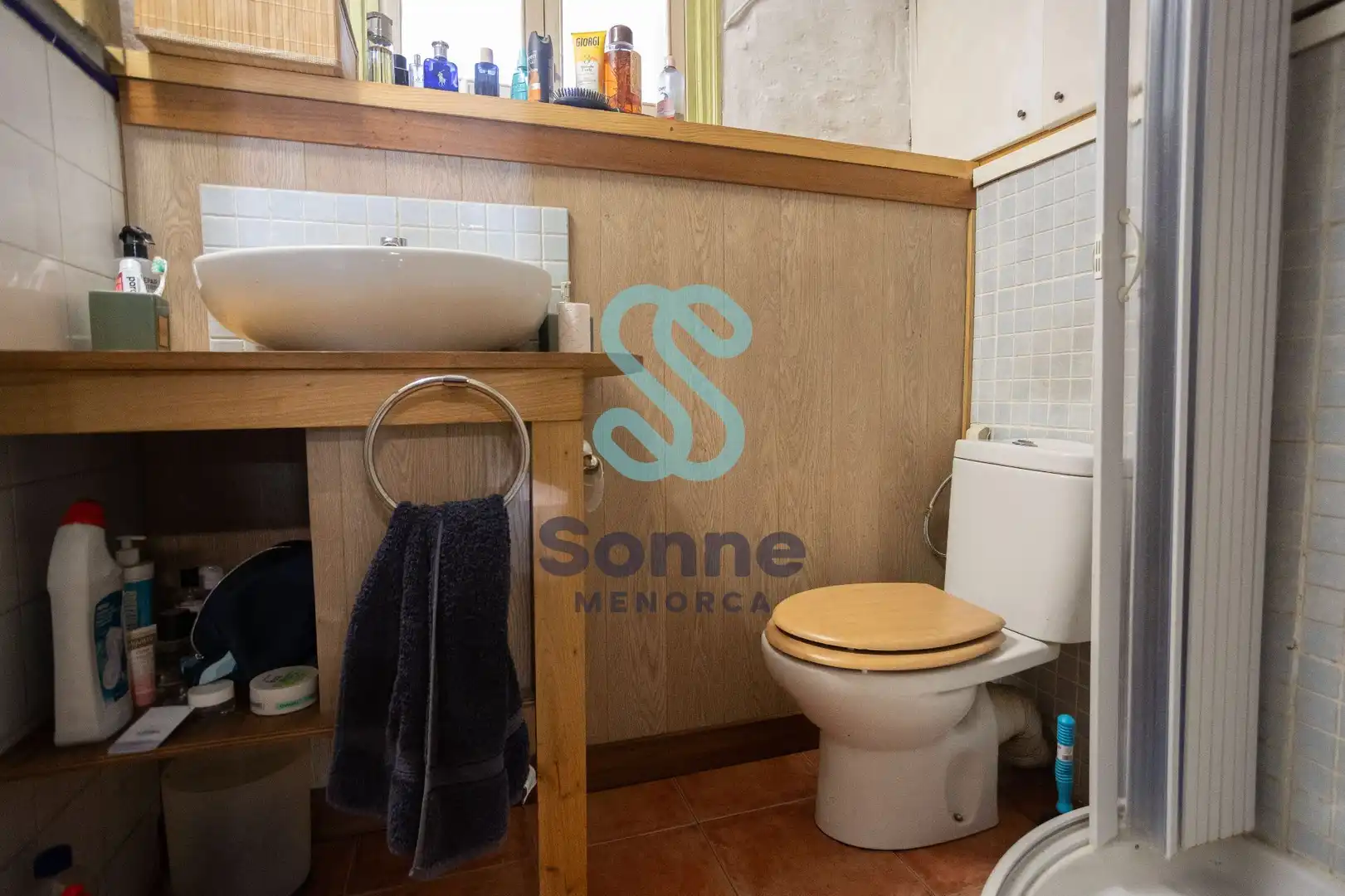Bany de Casa o xalet en venda en Ferreries amb Jardí privat, Terrassa i Piscina