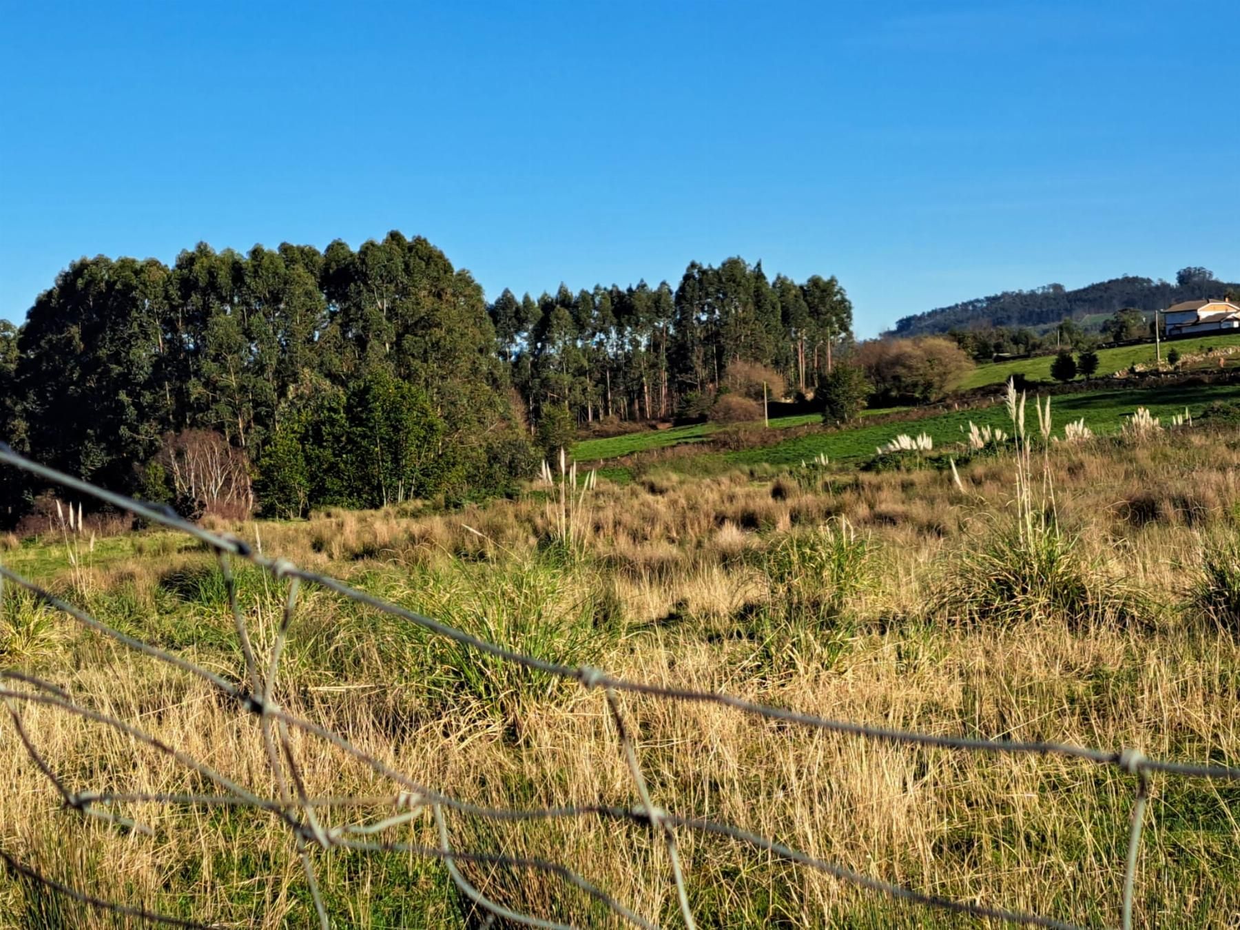 Vista exterior de Residencial en venda en Villaviciosa