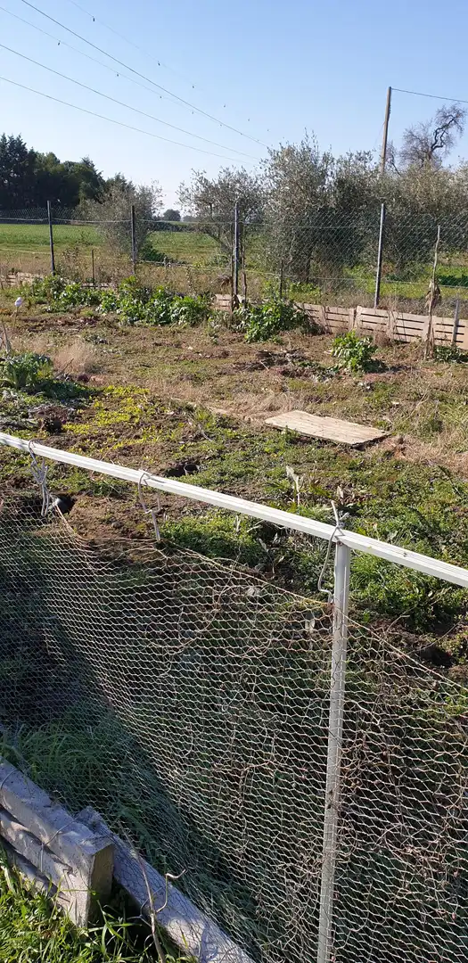 Terreny rústic en venda a Murillo de Río Leza, imagen 11