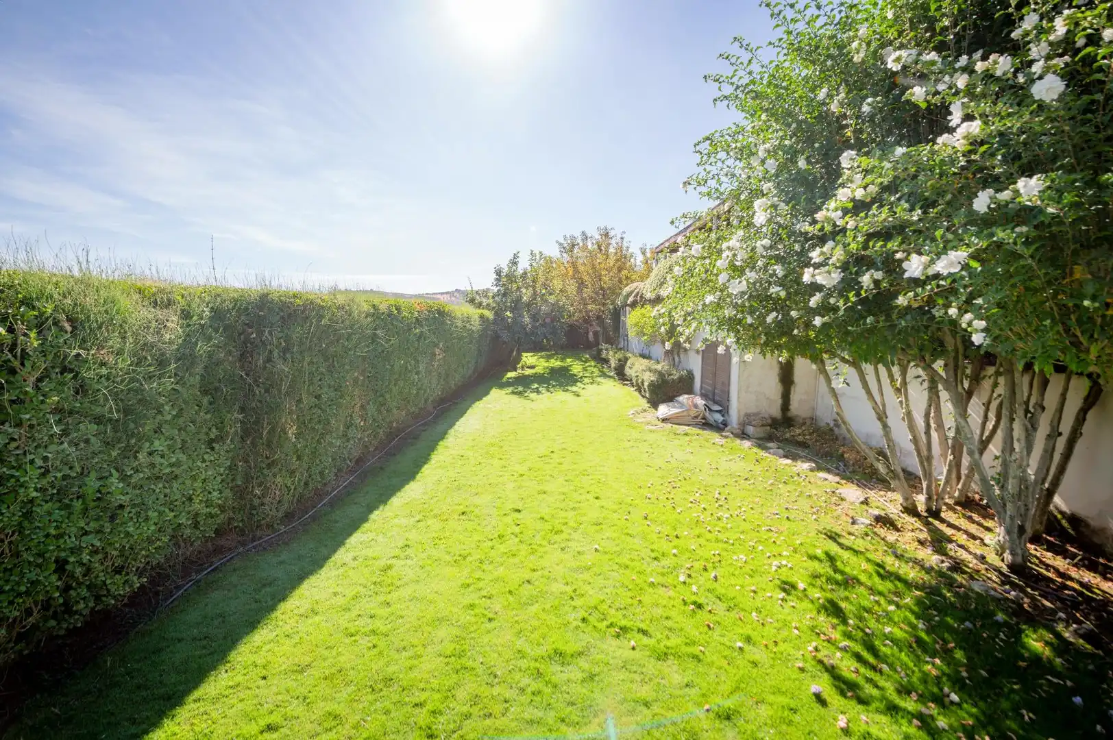 Garden of Houses for sale in Centro