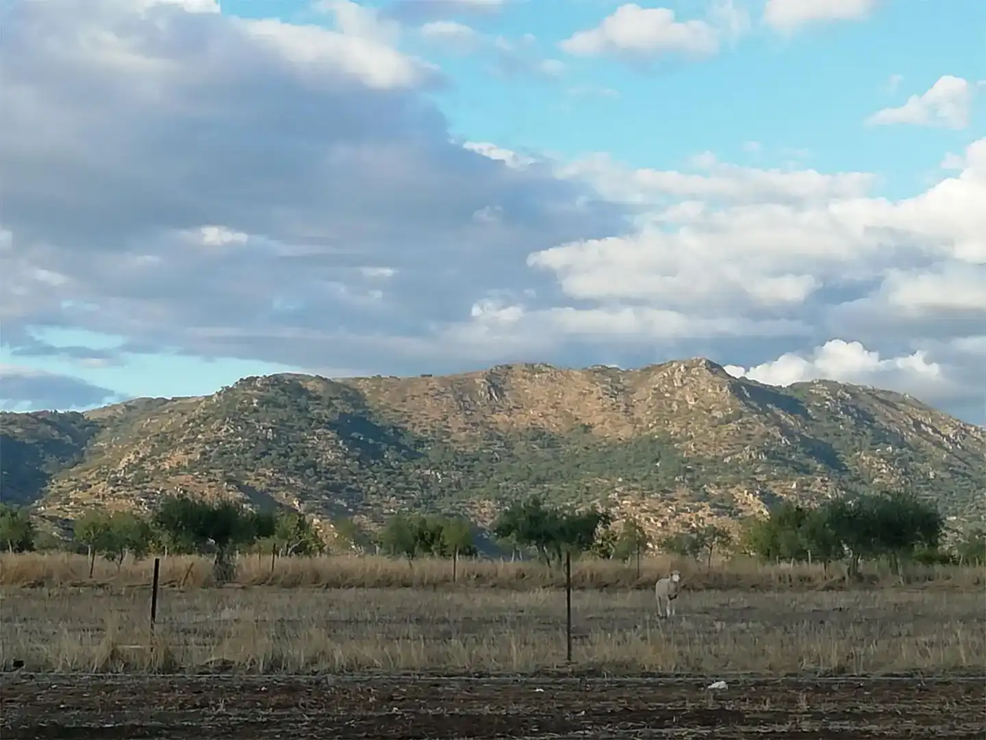 Terreno en venta en Arroyomolinos (Cáceres)