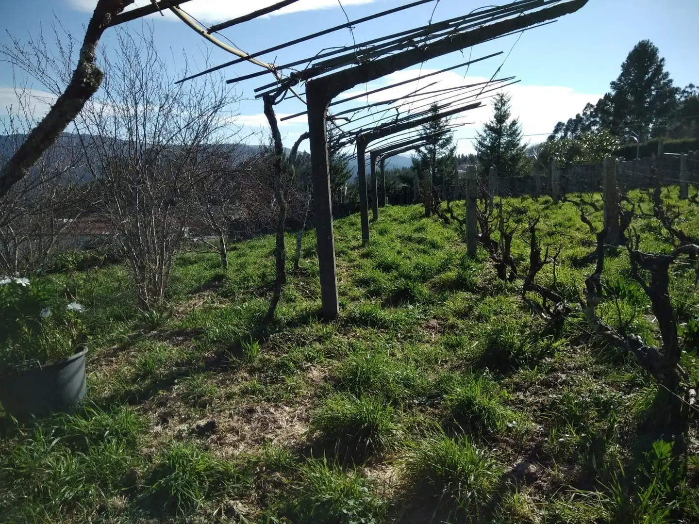 Finca rústica en venta en Barro con Jardín privado